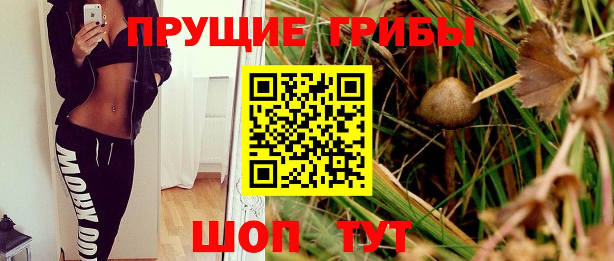 Псилоцибиновые грибы GOLDEN TEACHER Рузаевка